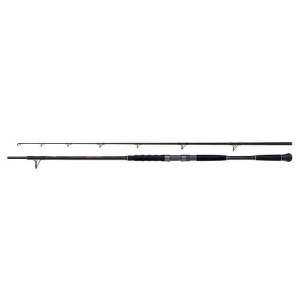 SHIMANO Beastmaster Catfish Lure 2,70m 200g 2cz S