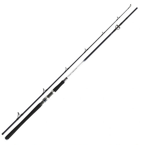 Daiwa Grandwave 2.40m 150-300g 2cz S.jpg
