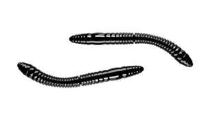 Libra Lures FATTY D'WORM 55mm Ser Kol.40 12szt