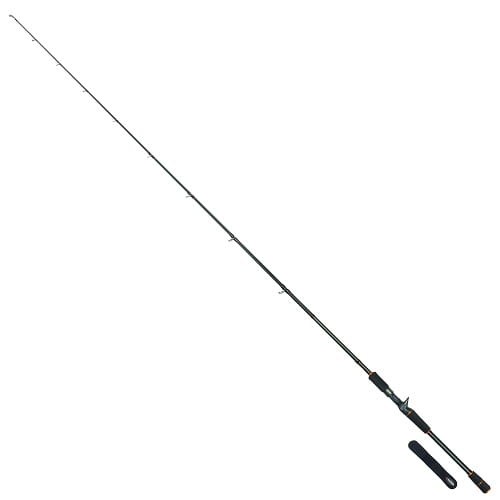 Robinson CityLiner Pro Cast 1.98m 40-100g 1cz C.jpg
