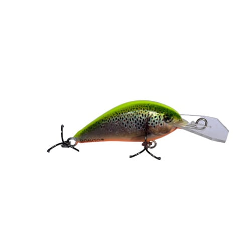 bonito 31.jpg