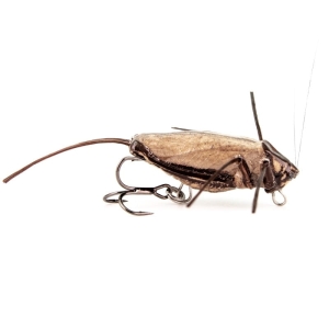 Wobler IMAGO LURES Hopper 3,5cm F 1,7g LBDB