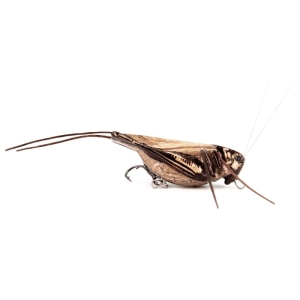 Wobler IMAGO LURES Hopper 4,5cm F 2,7g LBDB