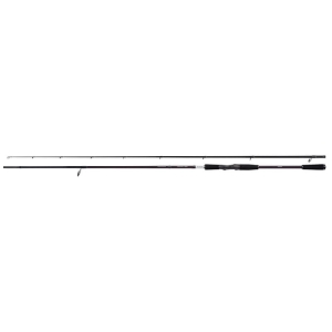 SHIMANO Yasei BB AX Zander R 2,70M 24-56g 2cz S