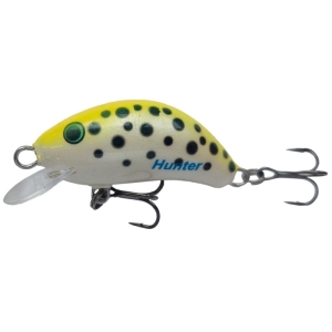 Wobler Kenart Hunter 3 Y