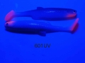 601UV.JPG