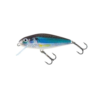 Salmo Perch Floating Holo Smelt 8cm 12g 