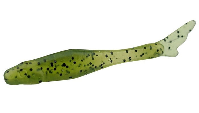 tiny-15-042-watermelon-seed.jpg