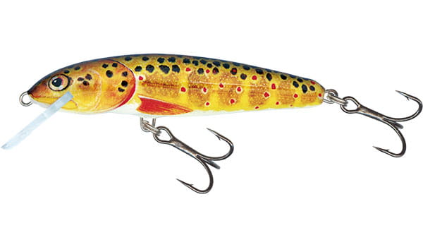 minnow-qmw032.jpg