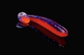 L682a.jpg