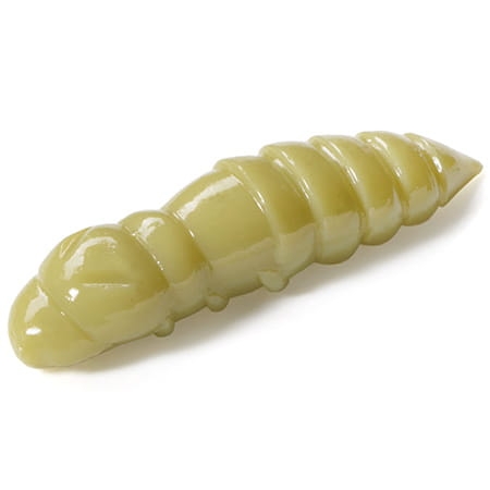 pupa-1.5-109.jpg