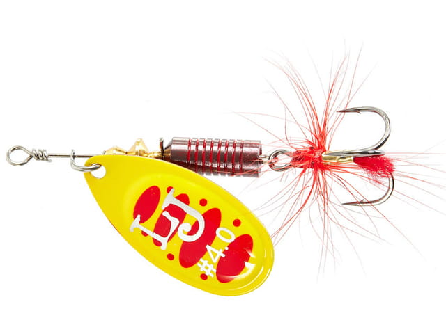 010.jpg