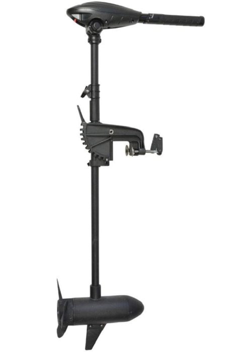 Haswing (1).jpg
