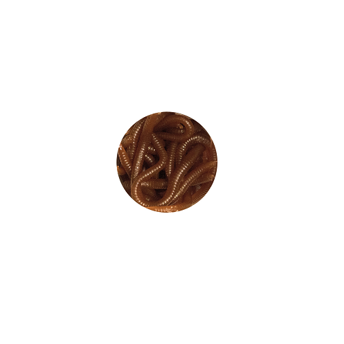 /environment/cache/images/productGfx_83048_700_700/Przyneta-sztuczna-York-Robak-Czerwony-PSYRC.png