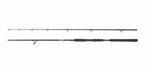 Wędka Spinningowa Abu Garcia BEAST Pike 862XXH 2,59m 40-140g Spin2cz
