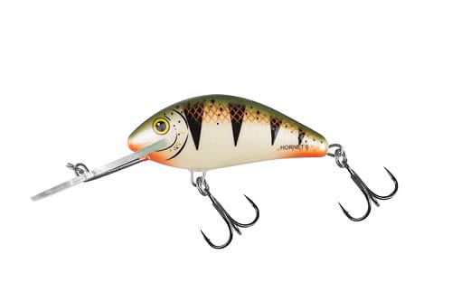 SALMO HORNET 6cm 10g Nordic Perch FL.jpg