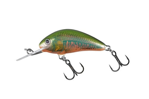 SALMO HORNET 5cm 8g Holo Oikawa.jpg