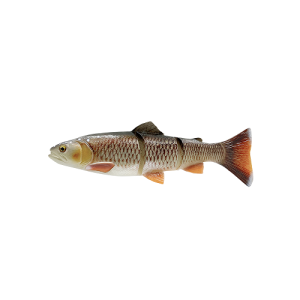 SG 4D Linethru Trout 40cm 712g S Bream