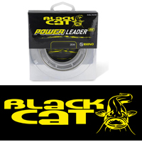 Black Cat
