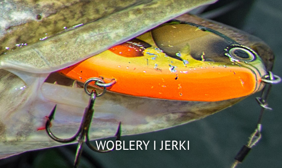 WOBLERY I JERKI