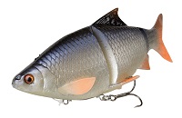 3D LIE THRU ROACH
