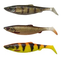 HERRING SHAD